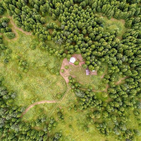 Отель Kuusehaldja Glamping Кохила Экстерьер фото
